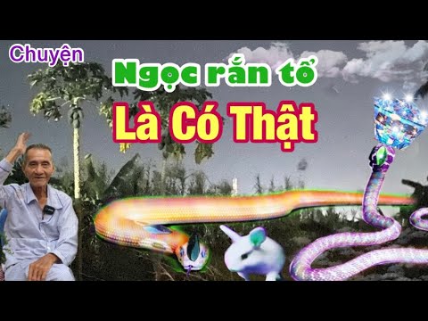 Ngọc Rắn Tổ Có Công Dụng Trừ Tà Ma Phá Bùa Ngải Thư Ếm Bằng Cách Nào ...