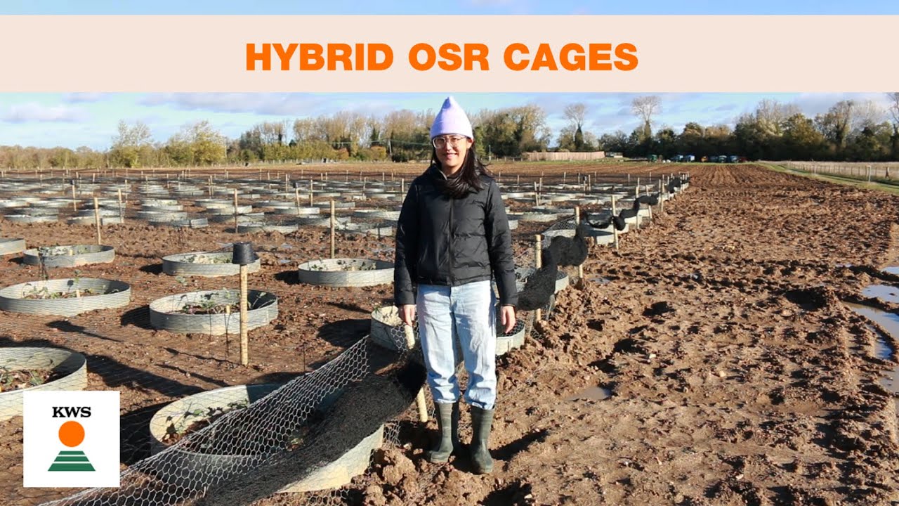Hybrid OSR cages