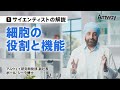 【サイエンティストの解説】(1)細胞の役割と機能