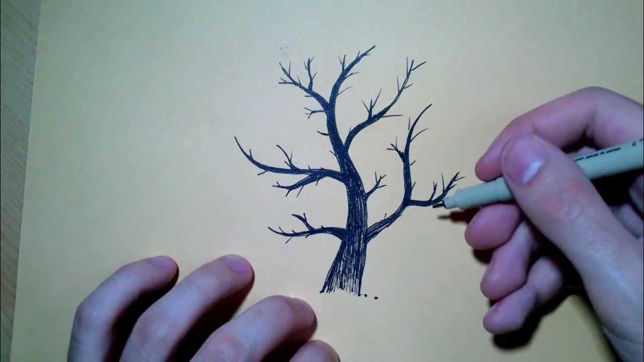 Dessin Arbre Sans Feuille Realiste Dessiner la base d'un arbre [Technique] - YouTube