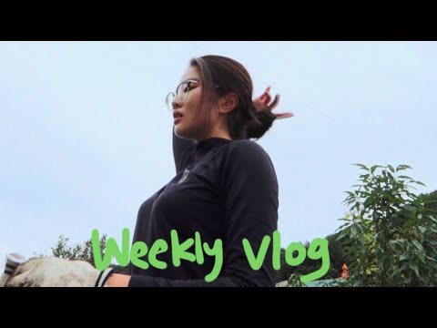 [직장인 브이로그]잠은 죽어서 잘래, 쉴 틈이 없는 이번주 브이로그/내신대비/영어강사/염색/쇼핑/주말농장/데이트