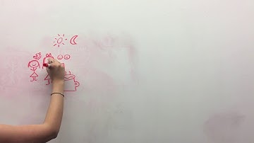 Building A Creative Brief