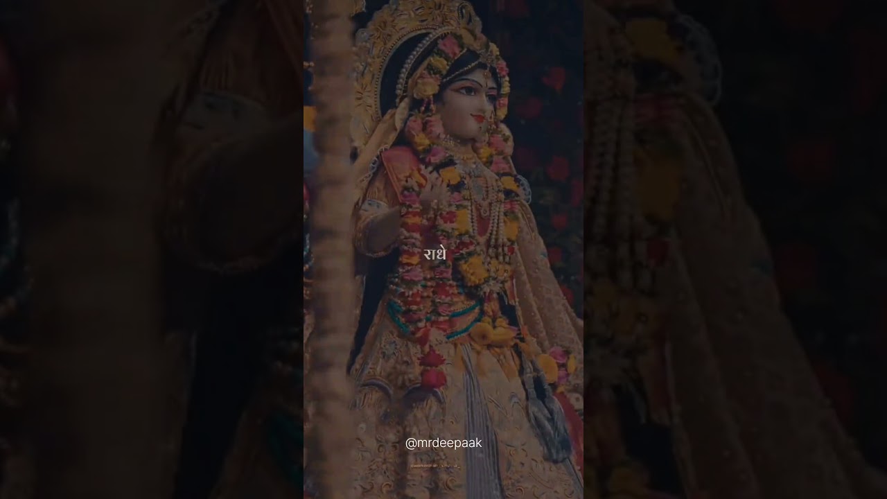 What vibes you get ..? 