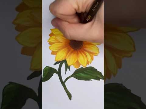 ✏️🌻 Desenhando um Girassol