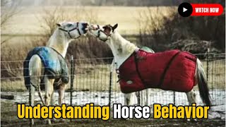 Understanding Horse Behavior Horse Breeding Horse Breed #secretanimals  @WildHorseSecrets