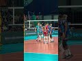 💯💯 #gosir #volleyball #giannelli #russo #friends #perugia