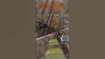 😱 Stalker 2 Developers Actually Added This To The Game #stalker2