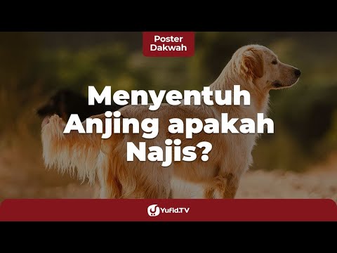 Cara Membersihkan Najis Anjing