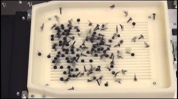 Asycube Structured Plate Demo