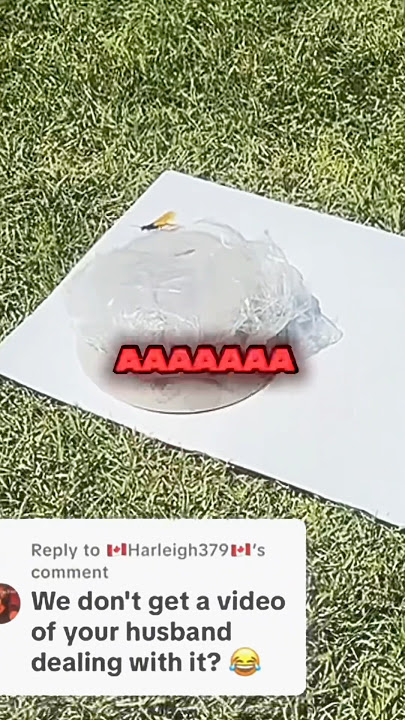 Don’t Check The Sound ☠️⚠️