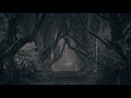 🖤  Dark &amp; Moody Rain Forest Sounds to Satisfy Your Moody Soul 🖤