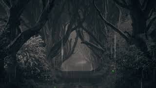 🖤  Dark &amp; Moody Rain Forest Sounds to Satisfy Your Moody Soul 🖤