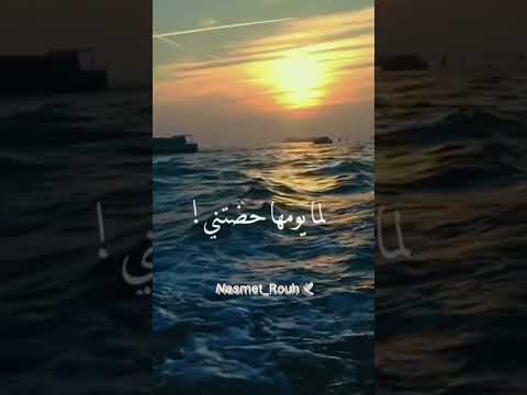 الحقيقة ان الحياة ضحكت علينا  محمد حماقي حالات فراق بعد مسافات