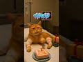 cepat sembuh yen #kucingsakit #kucing #getwellsoon #cat #viral #catanimation