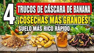 4 Trucos Secretos Con Cscaras De Pltano Para Atraer Ms Lombrices Y Enriquecer La Tierra