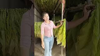 "Smart Farming Tech We Use in 2025"