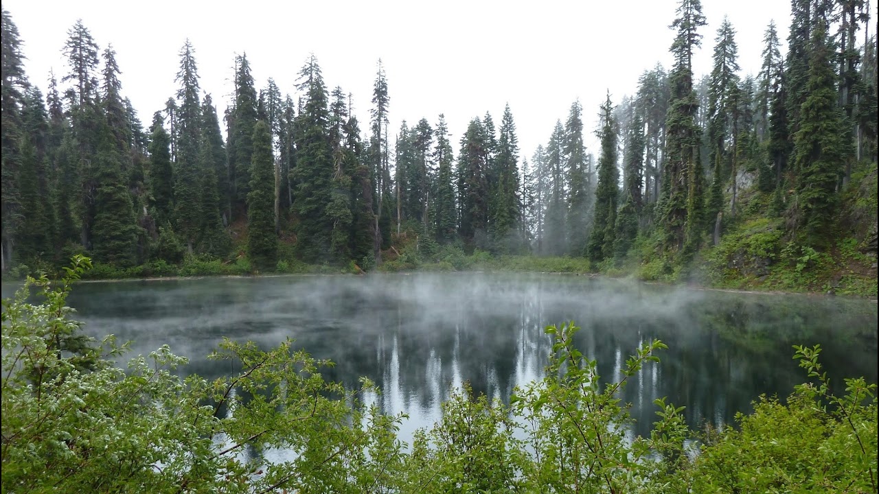 Discovery 2 VR - Wayner The Gamer - 11/17/2025