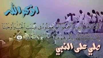 تلاوة تخشع لها القلوب من سورة يوسف بصوت القارئ طارق محمد اسمع بقلبك