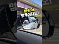 이 말티즈, 감성 바람 맞는 중 #말티즈 #강아지브이로그 #귀여운강아지 #차여행 #사이드미러 #강아지표정 #엉뚱한순간