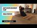 Easy seated beginner stretch /yoga