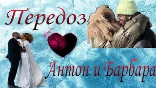 ♡Холостяк-Антон и Барбара-Передоз♡