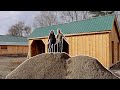 We've Never Done IT Like This Before Installing a Gravel Floor in Our Post & Beam Barn