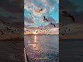 تومنودعوت کن به شهرچشمات تومنودعوت کن به شهرچشمات