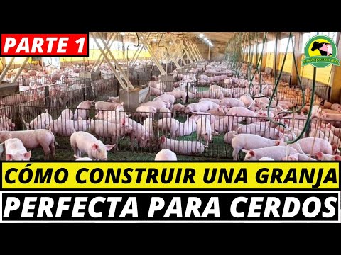 Video: Capital de maternidad para construir una casa: procedimiento y condiciones