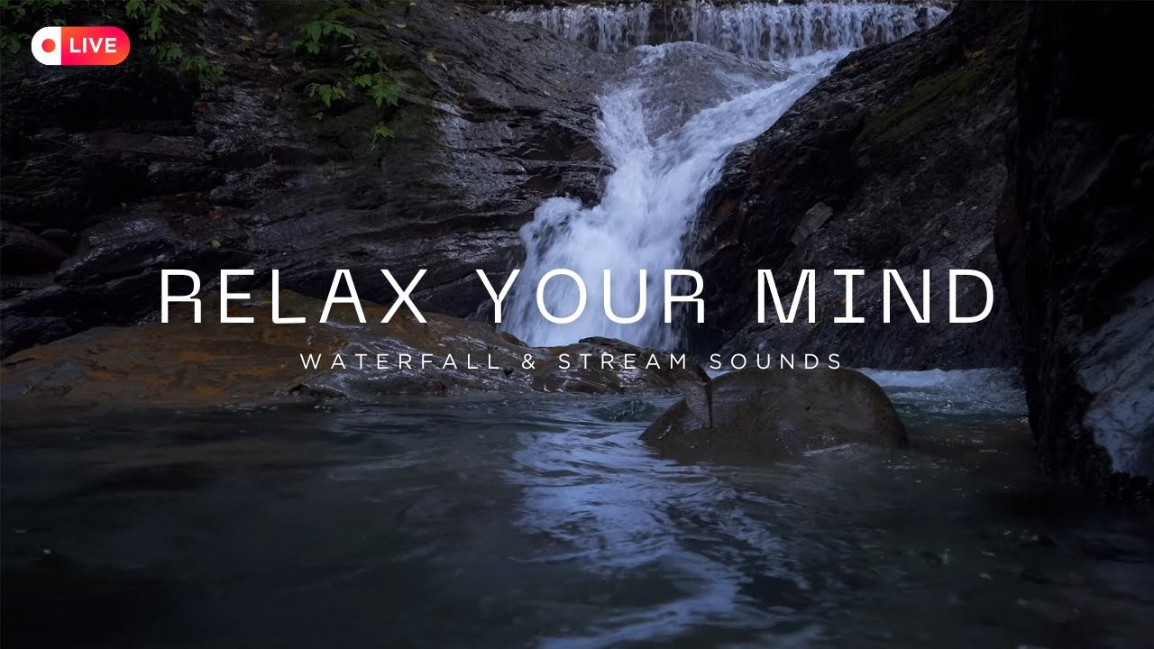 Forest Water Flow 🌿 | Peaceful Stream & Waterfall Ambience