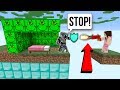 Minecraft: *SURPRISE* GRINCH LUCKY BLOCK BEDWARS! - Modded Mini-Game