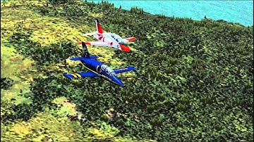 FSX Formation Flight (Demo)