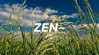 Endless Garden Serenity  Relaxing Spa Ambience  No Ads 2h