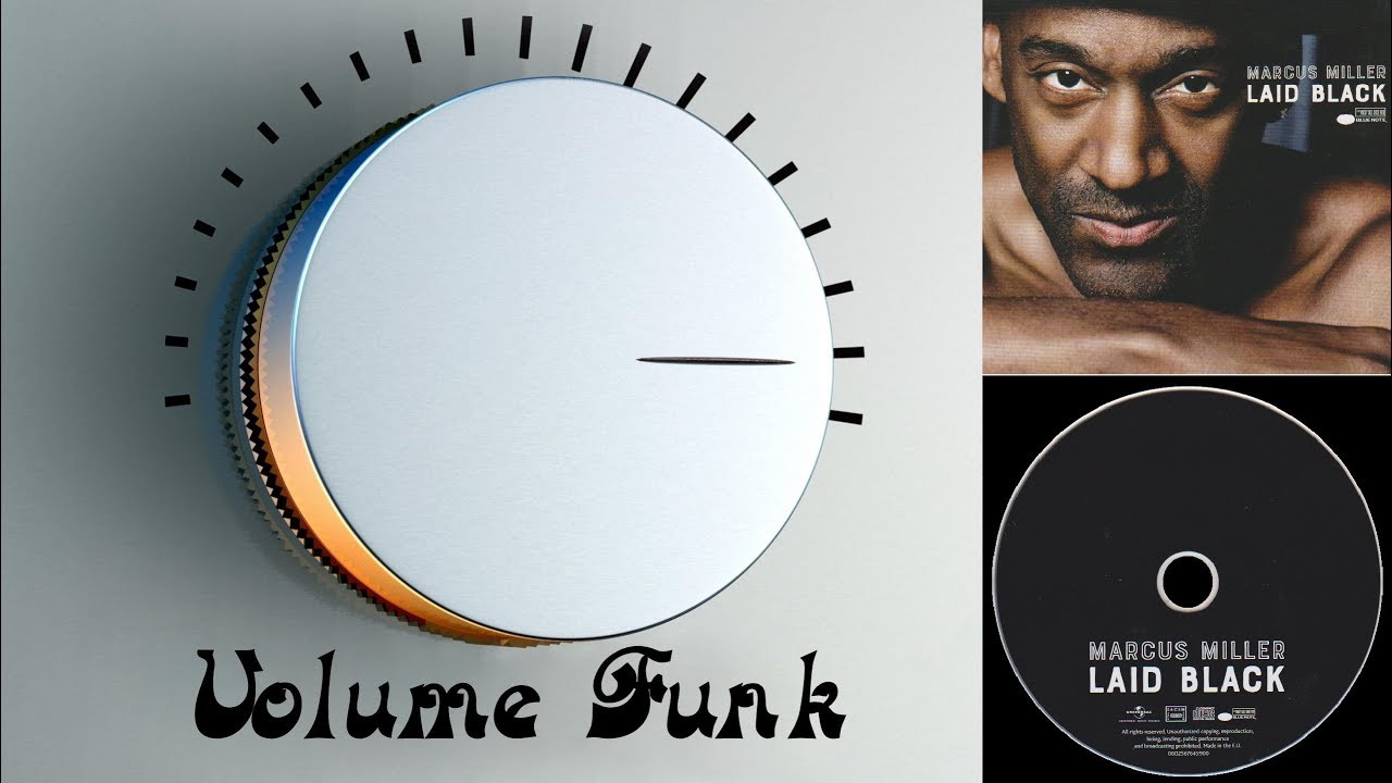 Marcus Miller - Trip Trap (2018)