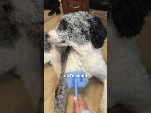 I finally learned the truth: it's not about HOW MUCH you brush. It's about WHAT you're brushing with