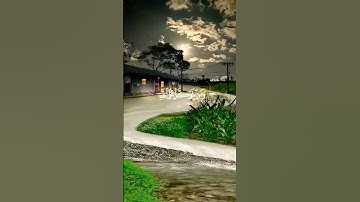 تلاوة خيالية راحة نفسية الشيخ ماهر المعيقلي (ومن يتق الله يجعل له مخرجا ويرزقه من حيث لايحتسب )@