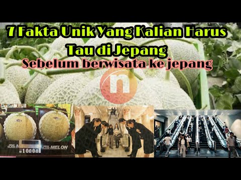 Video: Mengapa Jepang Benar-benar Membutuhkan Kuril - Pandangan Alternatif