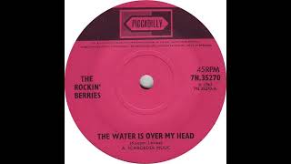 UK New Entry 1965 (332) The Rockin' Berries - The Water Is Over My Head