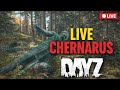 Dayz servidor oficial Ps5 #dayz