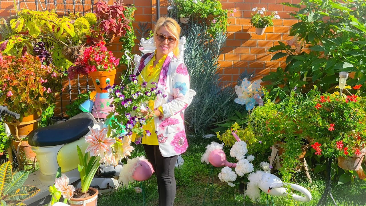 ТОП 10 ЦВЕТУЩИХ РАСТЕНИЙ 🦅🌹 #Цветы Ферреры 🌹💐🍂