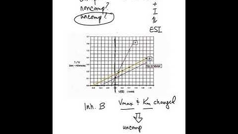 Enzyme kinetics - Interpreting LB Plot exam question (W16#4)