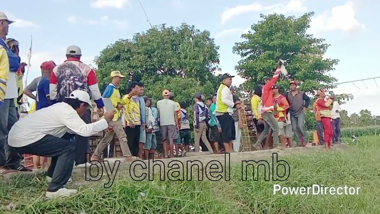 Part 4 smpai selesai #lomba merpati balap Situbondo 