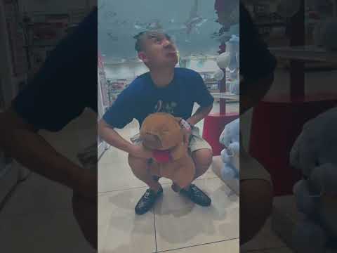 Capybara ngập Nước