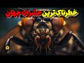 مرگبارترین حشرات جهان که میلیون ها انسان رو به کام مرگ کشیده اند 