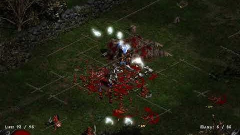 Diablo 2 - Arctic Furs Drop - Holy Grail (001 out of 502)