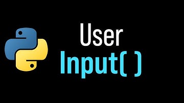 Python input() Explicado – Aprende a Pedir Datos al Usuario