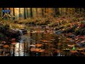 Peaceful Meditation Music for Mindfulness Practice and Deep Emotional Calm