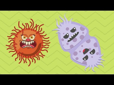 Video: Wat is het verschil tussen eencellige koloniale en meercellige organismen?