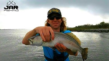 Valhamers! Louisiana Speckled Trout