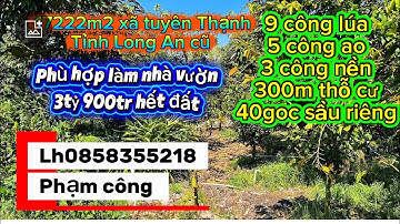 1 mẫu7 xã tuyên Thạnh phường kiến tường tỉnh Long An cũ 9000m2 lua 5000m2 ao 3000m2 nền 300m2 thổ cư