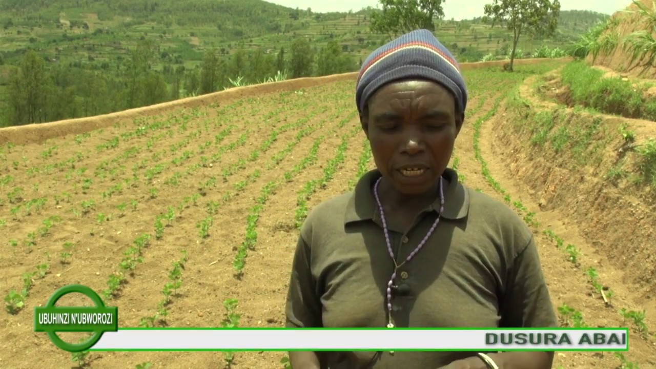 UMUHINZI WAHAYE ABANTU BENSHI AKAZI-  KAMONYI